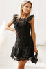 Round Neck Cap Sleeve Lace Mini Dress